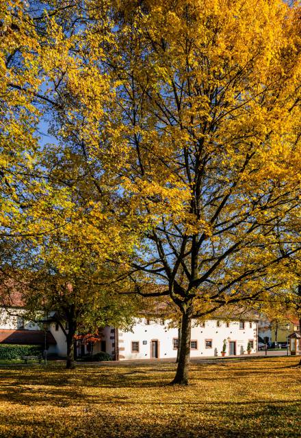 Kloster Haslach im Kinzigtal