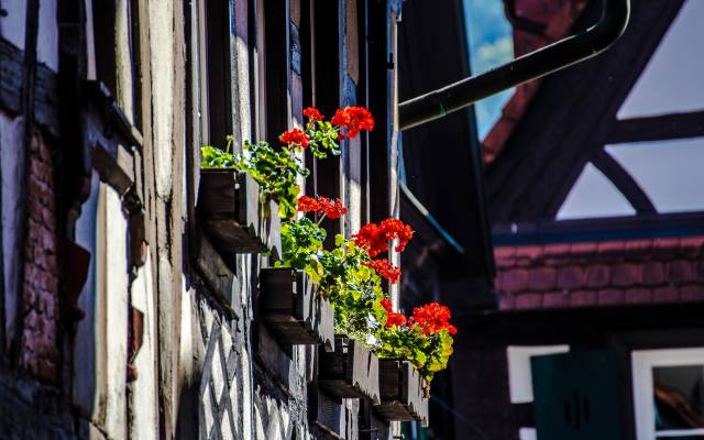 Haslach im Kinzigtal